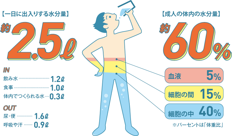 日 量 一 の 水分