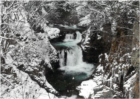 雪の中の渓谷と滝